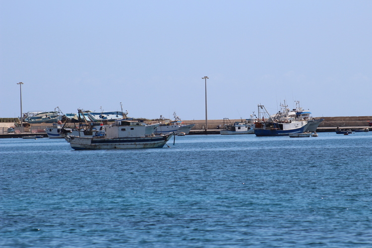Porto Palo - the trawlers in their port
